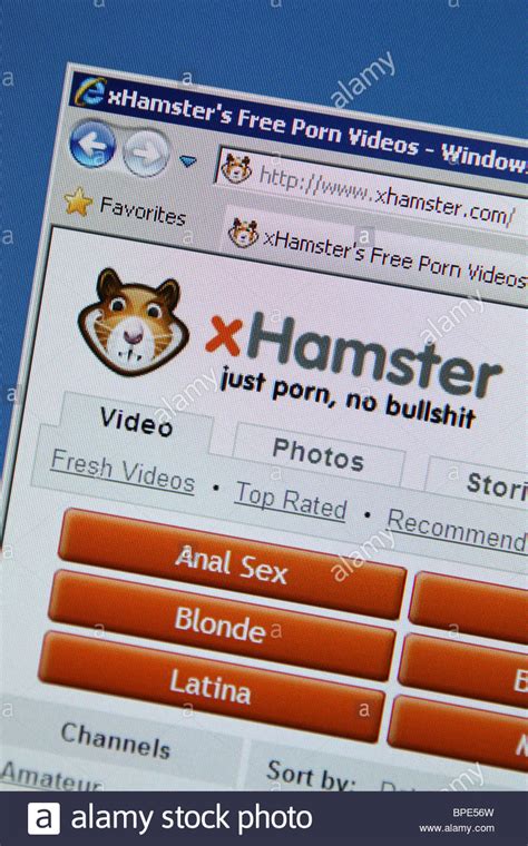 x hamster porn|Free Adult Porn Videos 